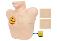 胸腔穿刺引流模型