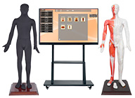 19-75寸多媒體人體針灸穴交互數(shù)字平臺