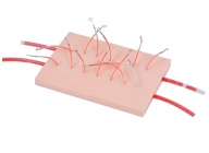 表面血管結扎止血操作模型
